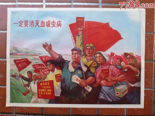学历认证报告怎么弄图片
